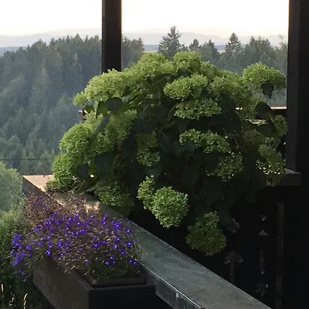 Apartamento Landhausvilla Strittberg 7 Höchenschwand