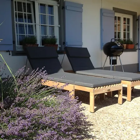 Landhausvilla Strittberg 7 Apartment Hoechenschwand